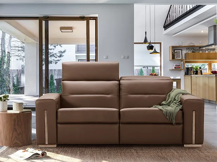 Sofa en cuir brun dans un salon moderne